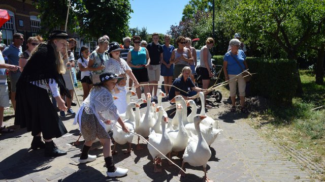 Ganzenmarkt (zondag  1 juli 2018)